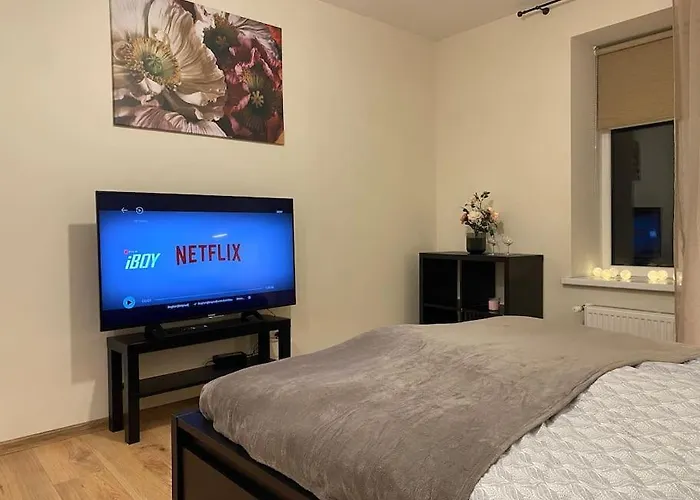 Cozy Apartment Near City Center