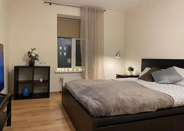 Cozy Apartment Near City Center